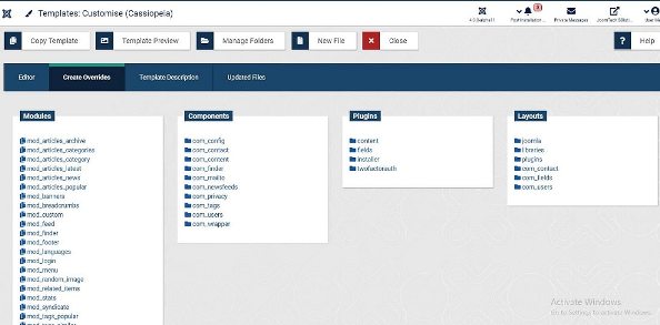 Joomla 4 template override option