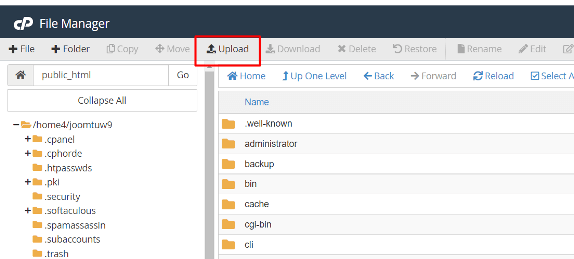 Upload cPanel button