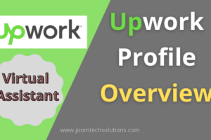 Upwork Profile Overview Sample for Virtual Assistant