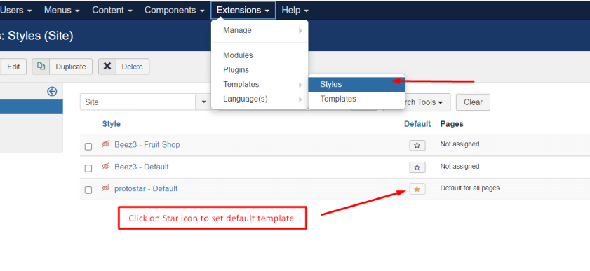 Step 5: Go to Extensions > Templates > Styles .