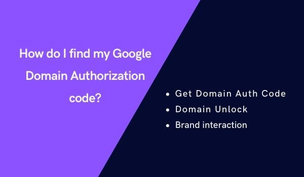 How do I find my Google Domain Authorization code