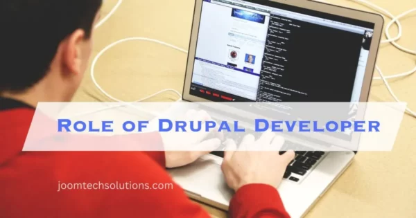 Role of Drupal Developer