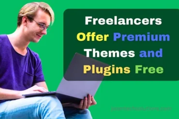 How can freelancers offer premium themes and plugins to clients without increasing project costs