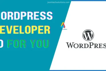 What Can a WordPress Developer Do For You