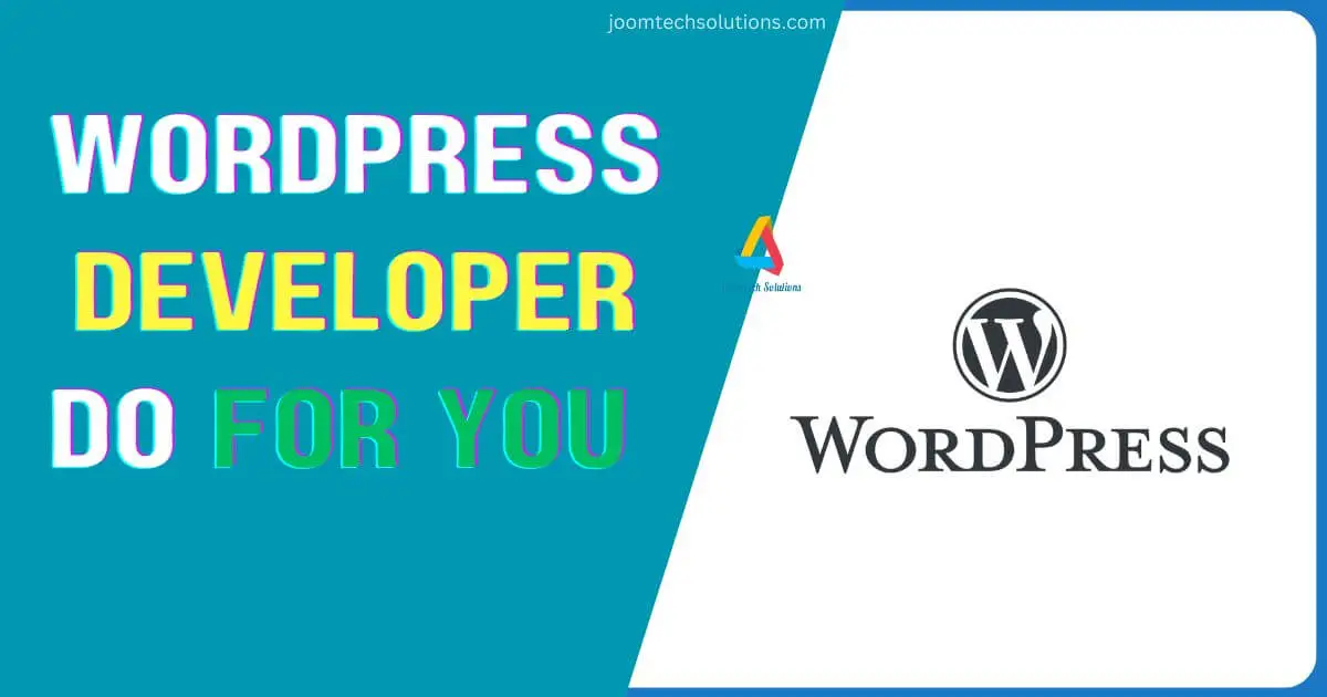 What Can a WordPress Developer Do For You