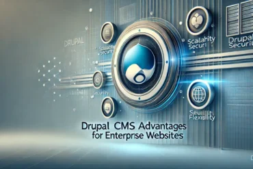 Drupal CMS Advantages for Enterprise Websites