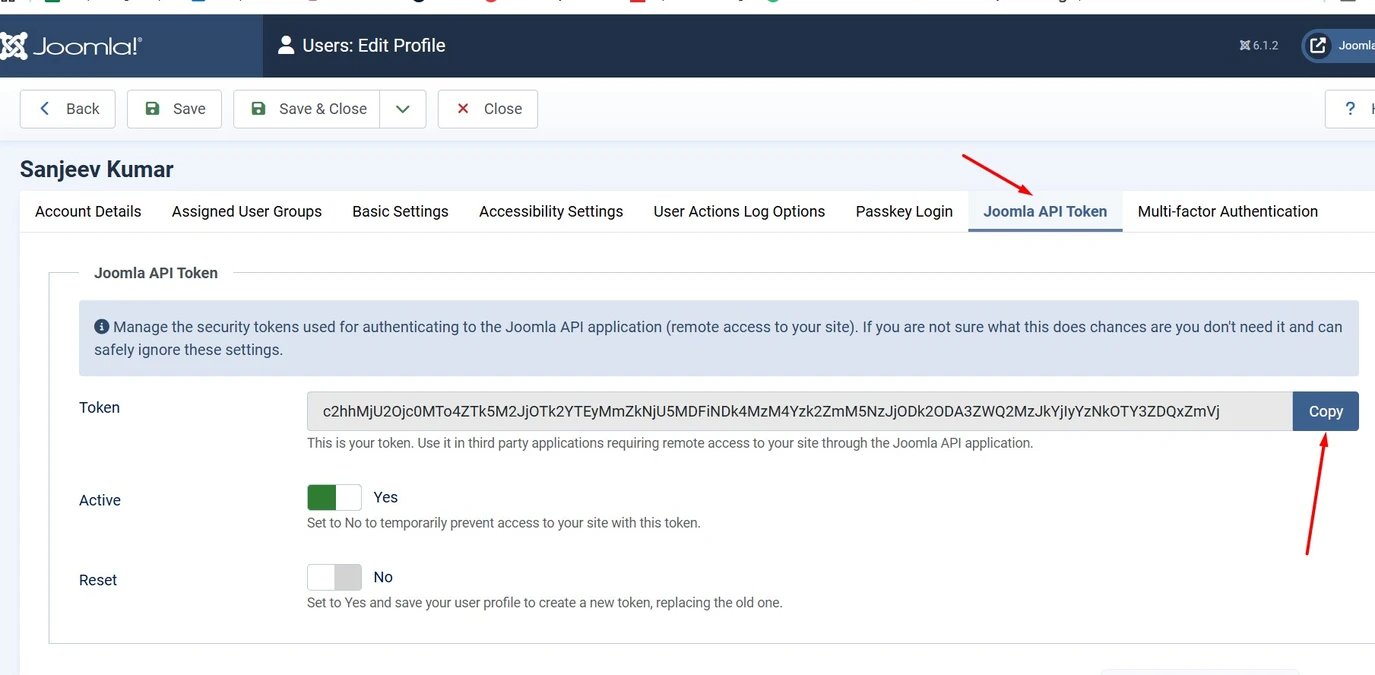 Copy Joomla 6 API Token from User Profile Joomla 6 API Token copy screen showing the generated API token in the user profile